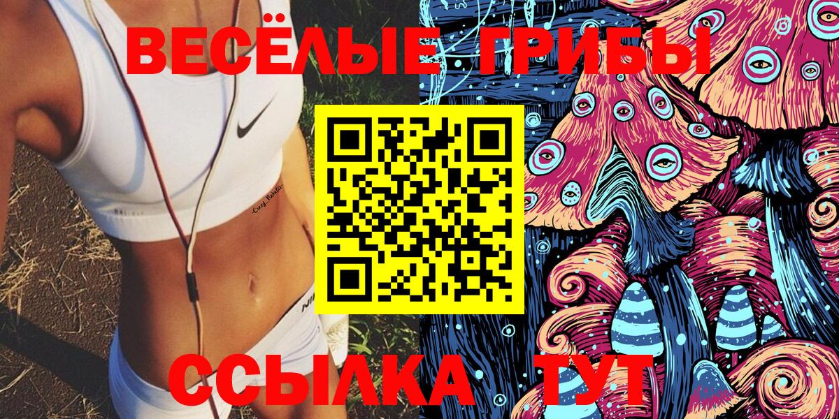 Галлюциногенные грибы Magic Shrooms Вольск