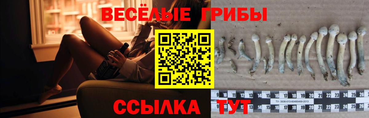Псилоцибиновые грибы Cubensis  Галлюциногенные грибы Psilocybe  Вольск  наркотики  Вход с VPN 